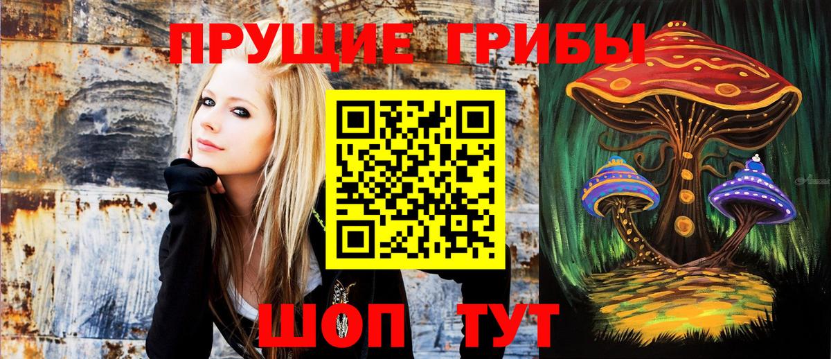 Галлюциногенные грибы Magic Shrooms Кировск