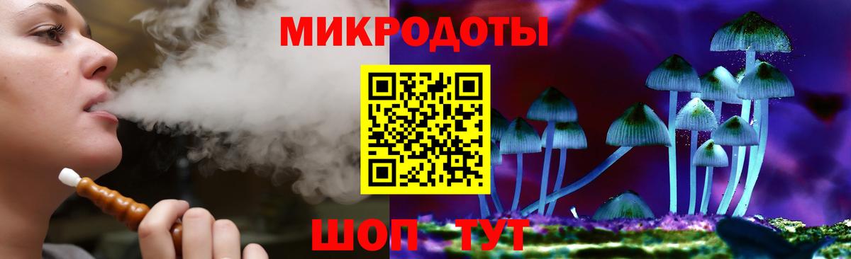 Кировск  Псилоцибиновые грибы Psilocybine cubensis  Псилоцибиновые грибы прущие грибы  Вход с VPN 